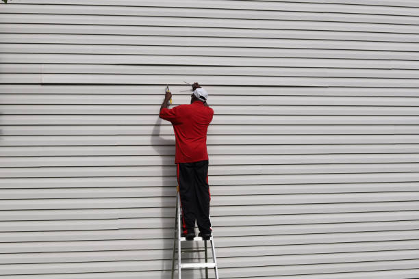 Best Siding Painting and Refinishing  in Summerset, SD