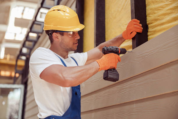 Best Custom Trim and Detailing for Siding  in Summerset, SD
