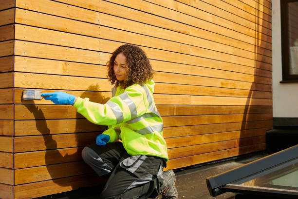 Best Steel Siding Installation  in Summerset, SD